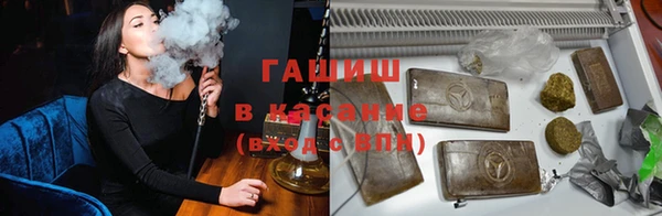 индика Абинск