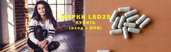 индика Абинск