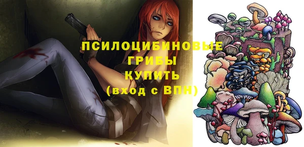 амф Осинники