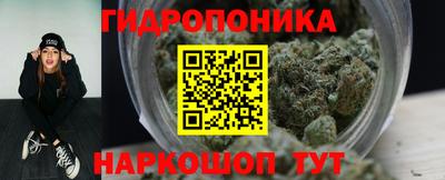 сатива Пенза