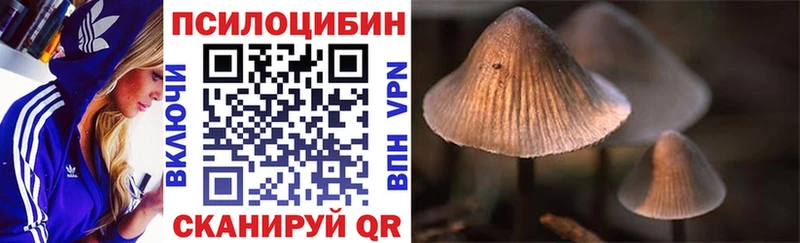 Галлюциногенные грибы ЛСД Советская Гавань