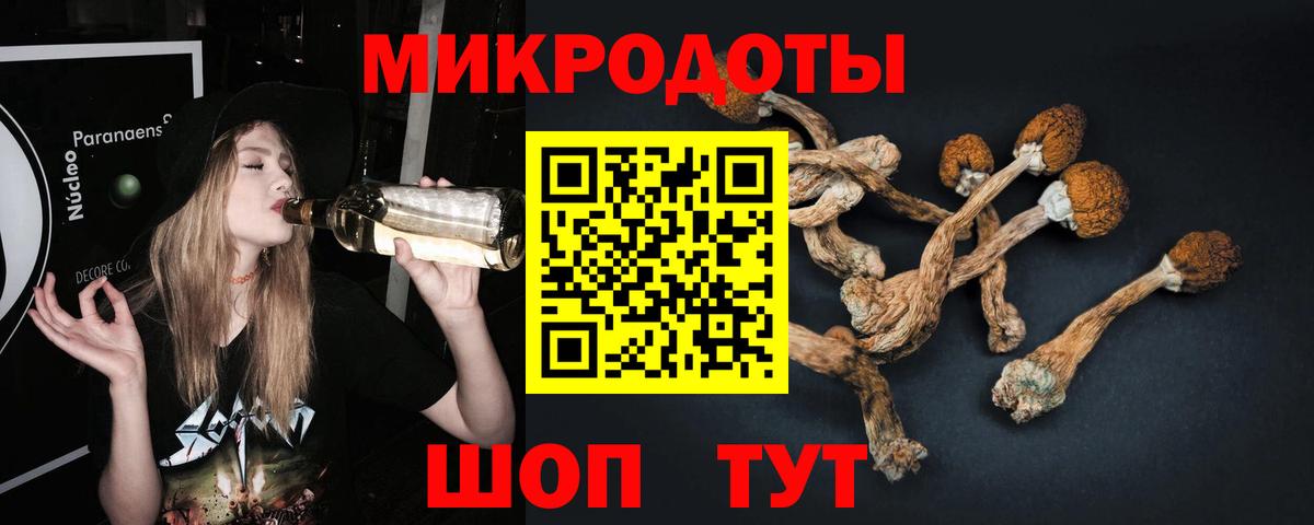 Галлюциногенные грибы мицелий Советская Гавань